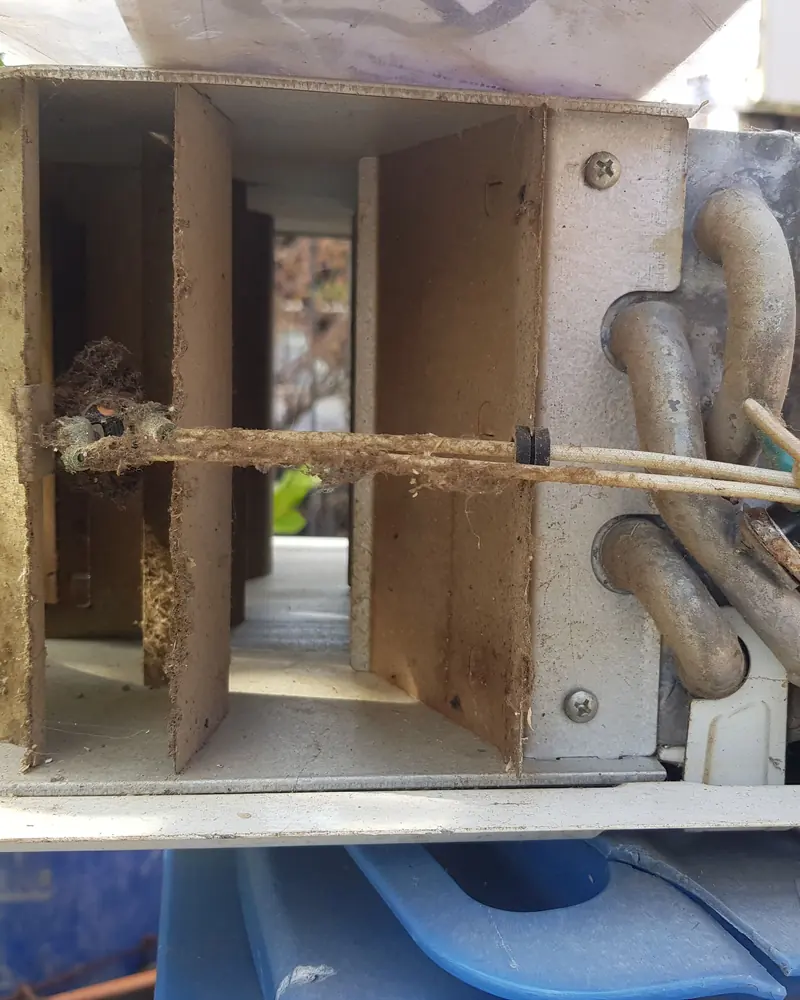 Cámara de combustión de un calefont con las paredes corroídas y oxidadas