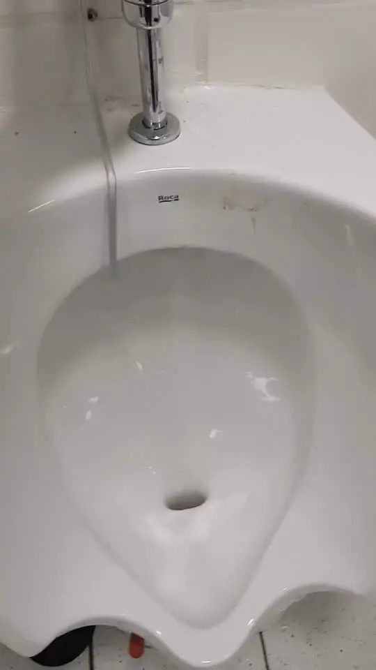Urinario con fluxómetro